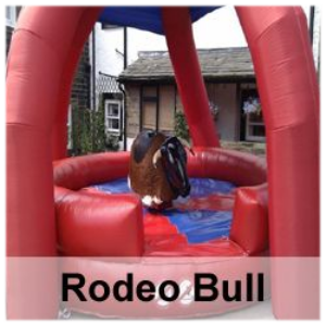 Rodeo Bull & Disco Wild West evening Package